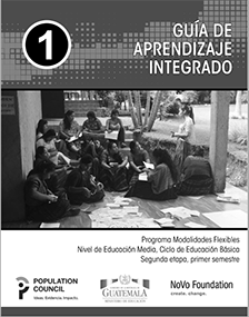 Guía de Aprendizaje Integrado Etapa 2 Semestre 1